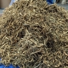 Fresh Ginseng Wholesale