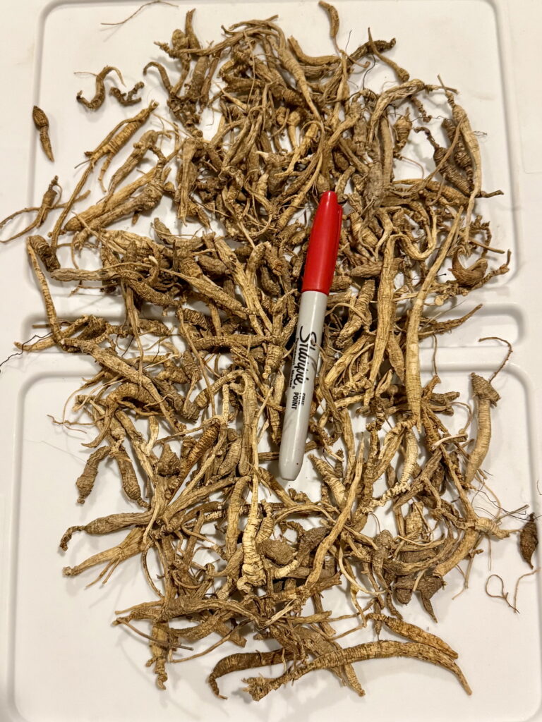 Tincture Grade - Fiber & Prong