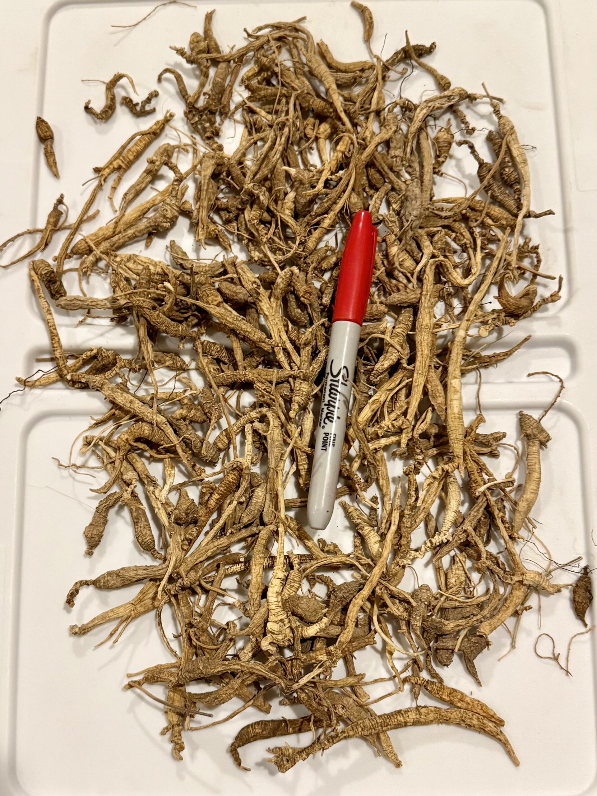 Tincture Grade - Fiber & Prong