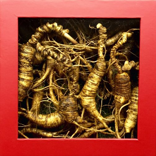 Fresh Signature Series Gift Box